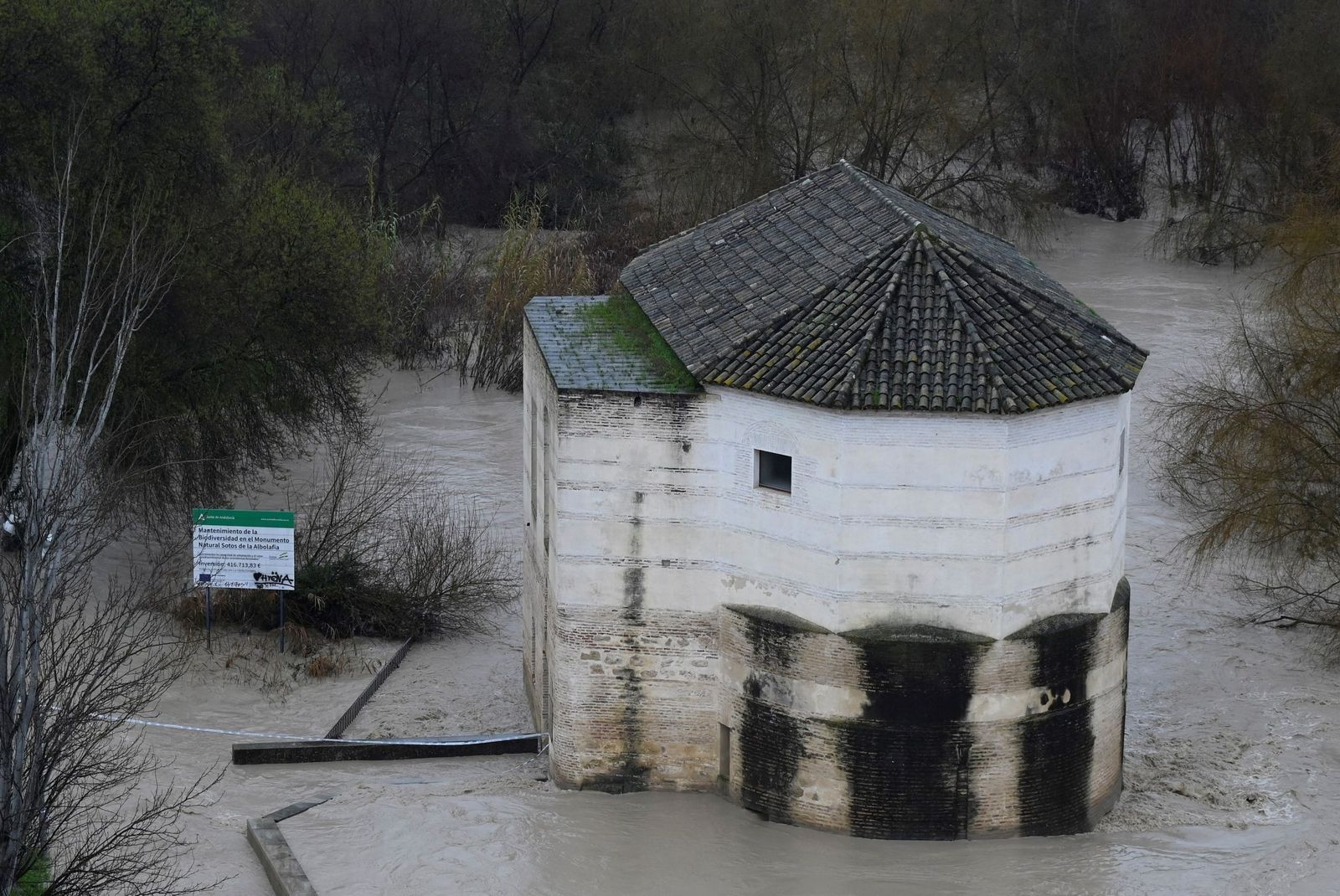 Las impactantes imágenes de la crecida del río Guadalquivir a su paso por Córdoba
