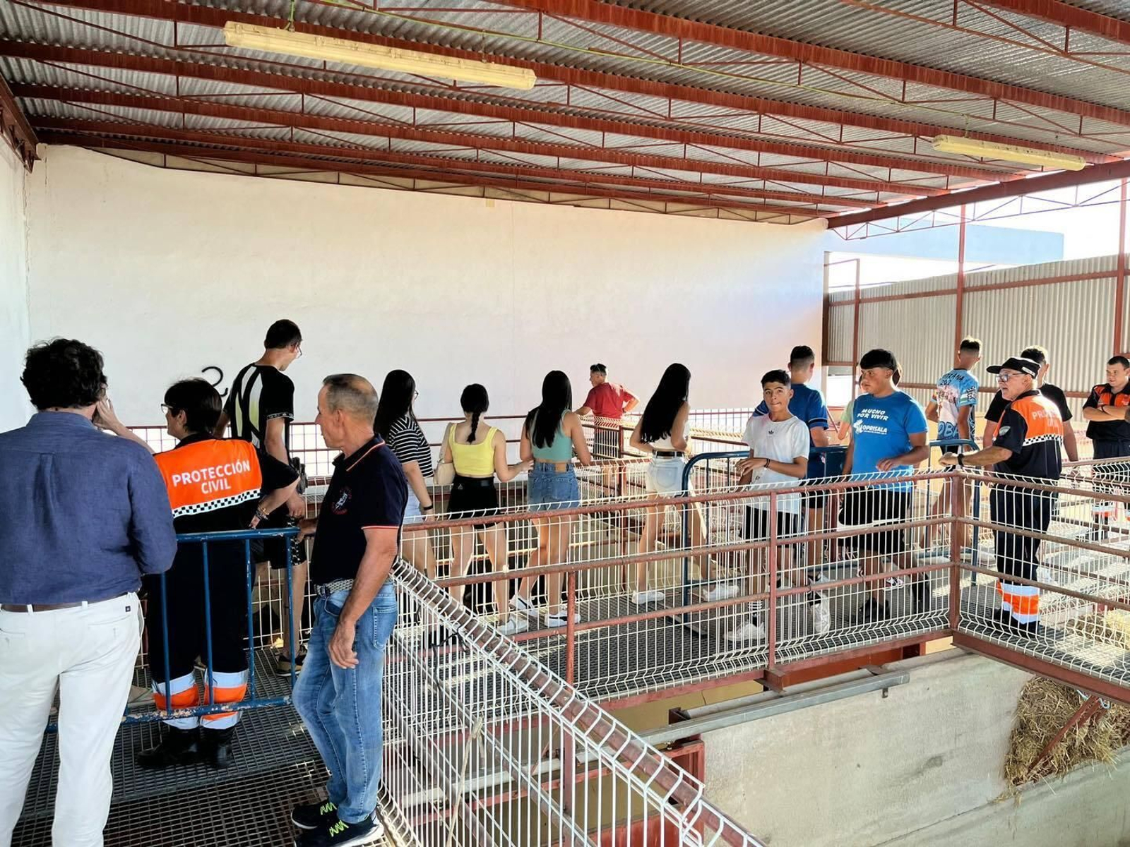 Gran ambiente en el encierro infantil de El Viso, en fotografías Gran ambiente en el encierro infantil de El Viso, en fotografías