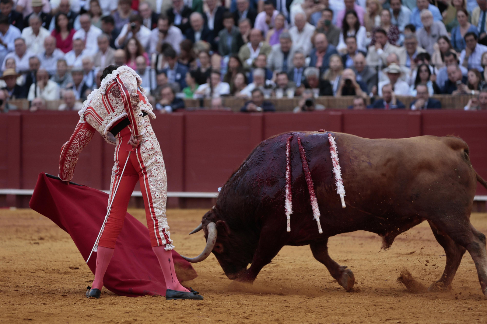 Las imágenes del festejo
