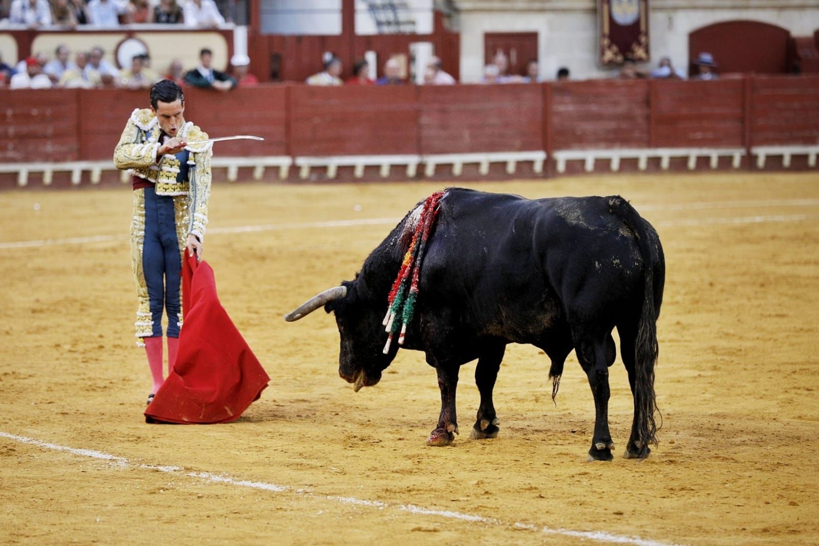 Imágenes de la despedida de Enrique Ponce en la plaza de toros de El Puerto