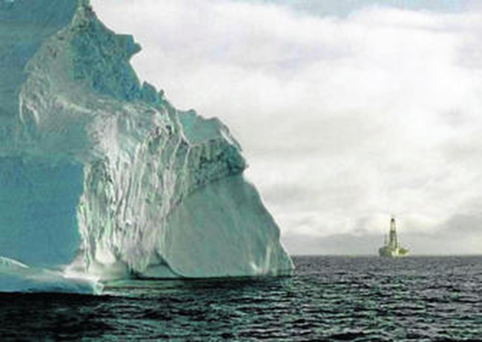 Imagen tomada durante la expedición internacional.