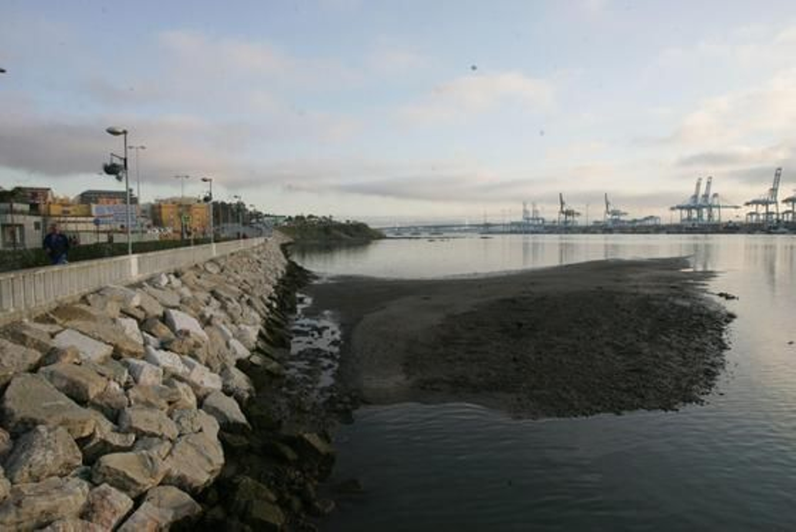 La marea histórica se vivió en las playas del Campo de Gibraltar con mucha espectación, sobre todo en la de Poniente de La Línea y El Rinconcillo de Algeciras./Fotos:Paco Guerrero/Shus Terán/J.M.Quiñones

Foto: Paco Guerrero/J.M.Q./Shus Teran/