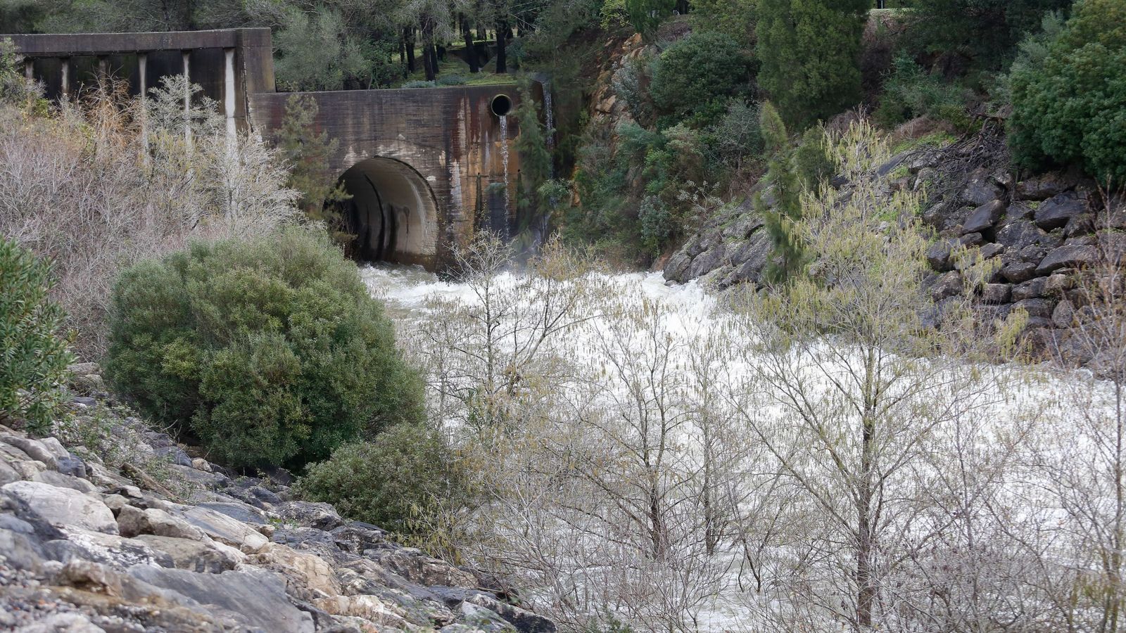 Las fotos del desembalse de agua en la presa de Charco Redondo de Los Barrios