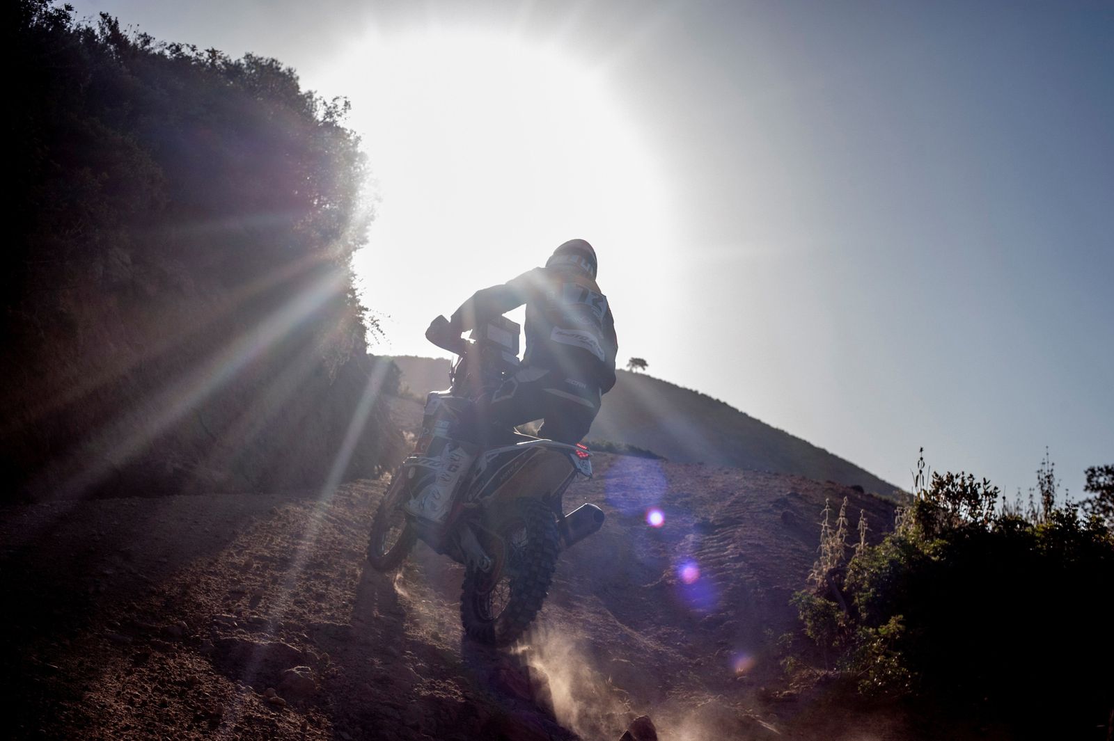 Los grandes del Dakar enseñan el paisaje rural de Andalucía