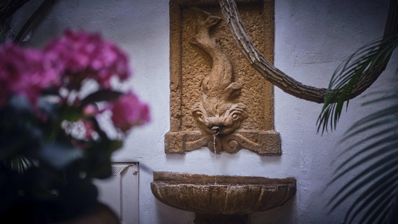 Fiesta de los patios 2023 de El Puerto