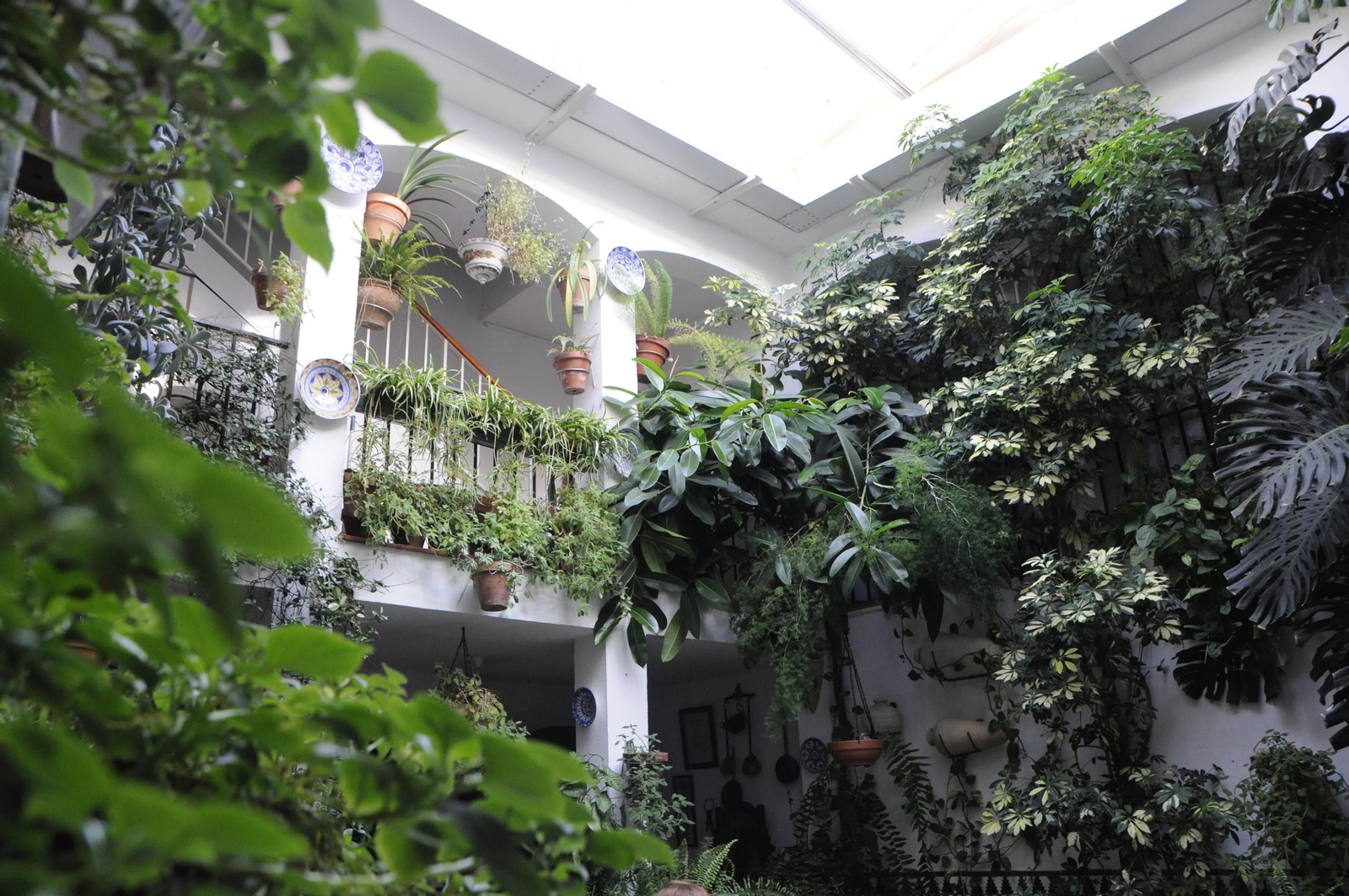 Los Patios de Córdoba se acicalan para su apertura en otoño, en fotografías