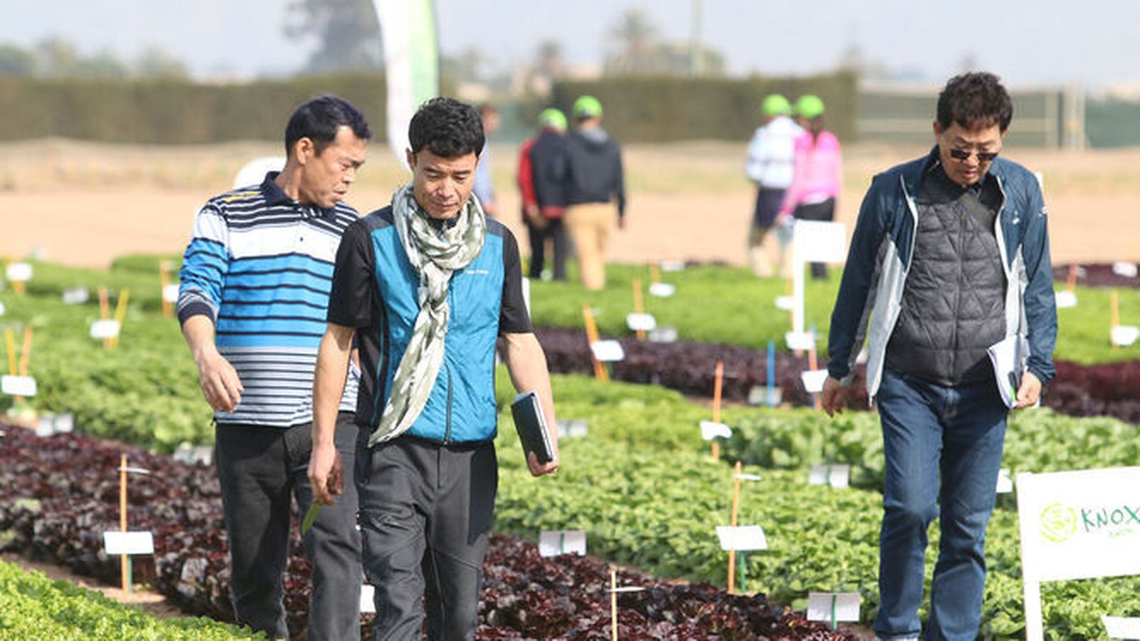 A esta cita acuden representantes de las principales empresas de procesado, supermercados, “traders” y productores del mundo.