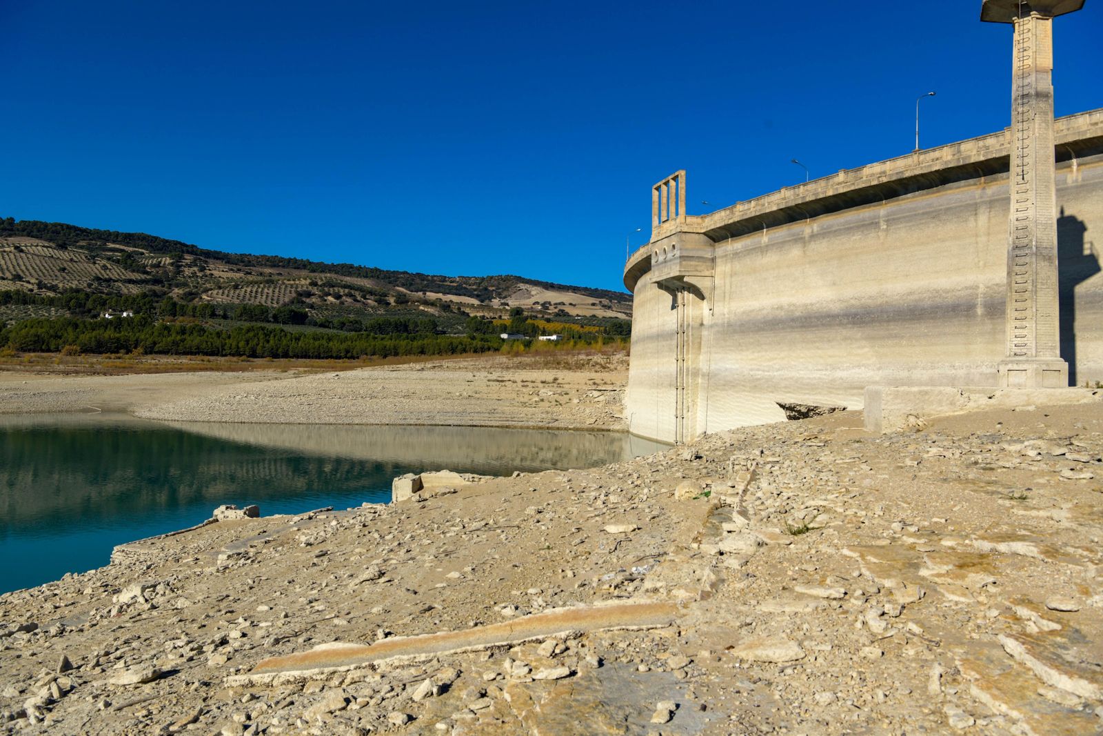 Asaja Granada urge al Gobierno medidas para paliar la sequía "crítica" del campo