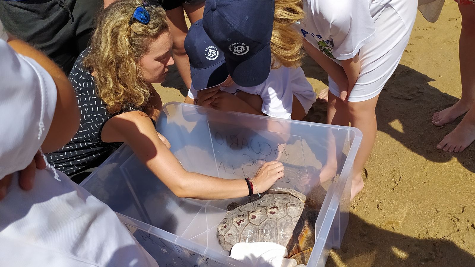 Suelta de tortugas marinas en la playa de Camposoto