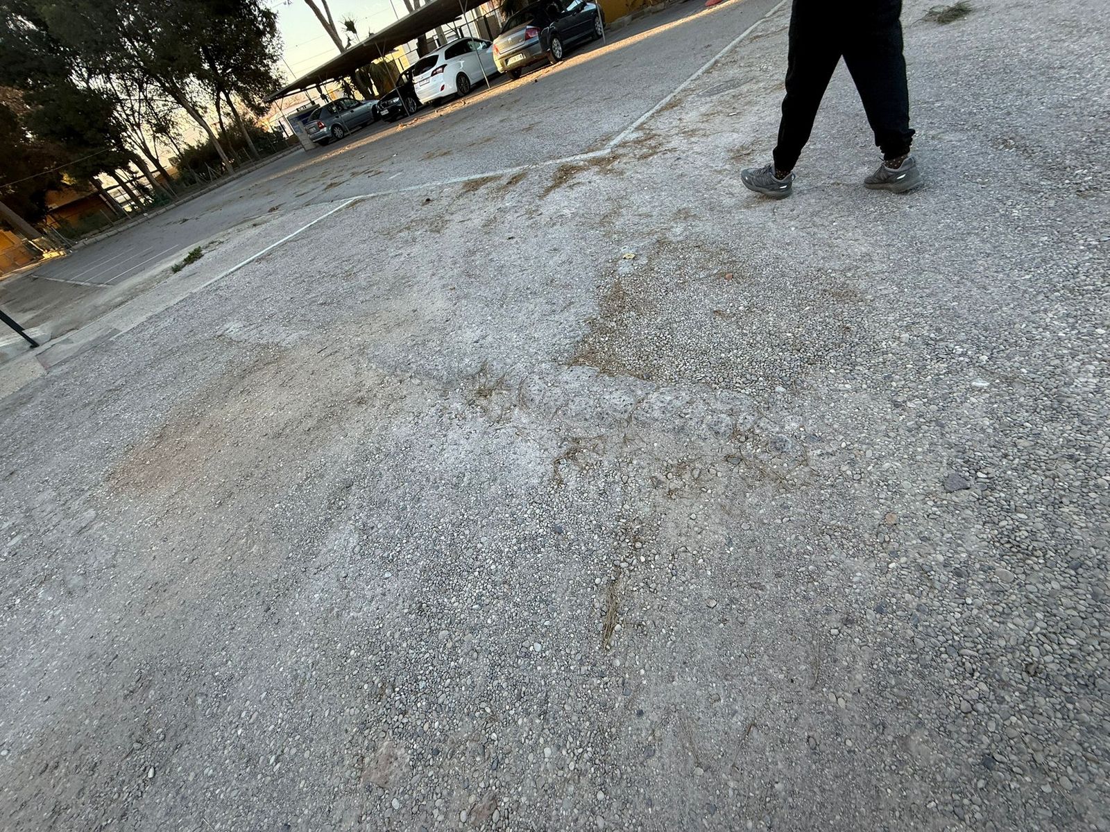 El mal estado de las pistas es uno de los principales problemas en la infraesctructura educativa que reclama la AMPA