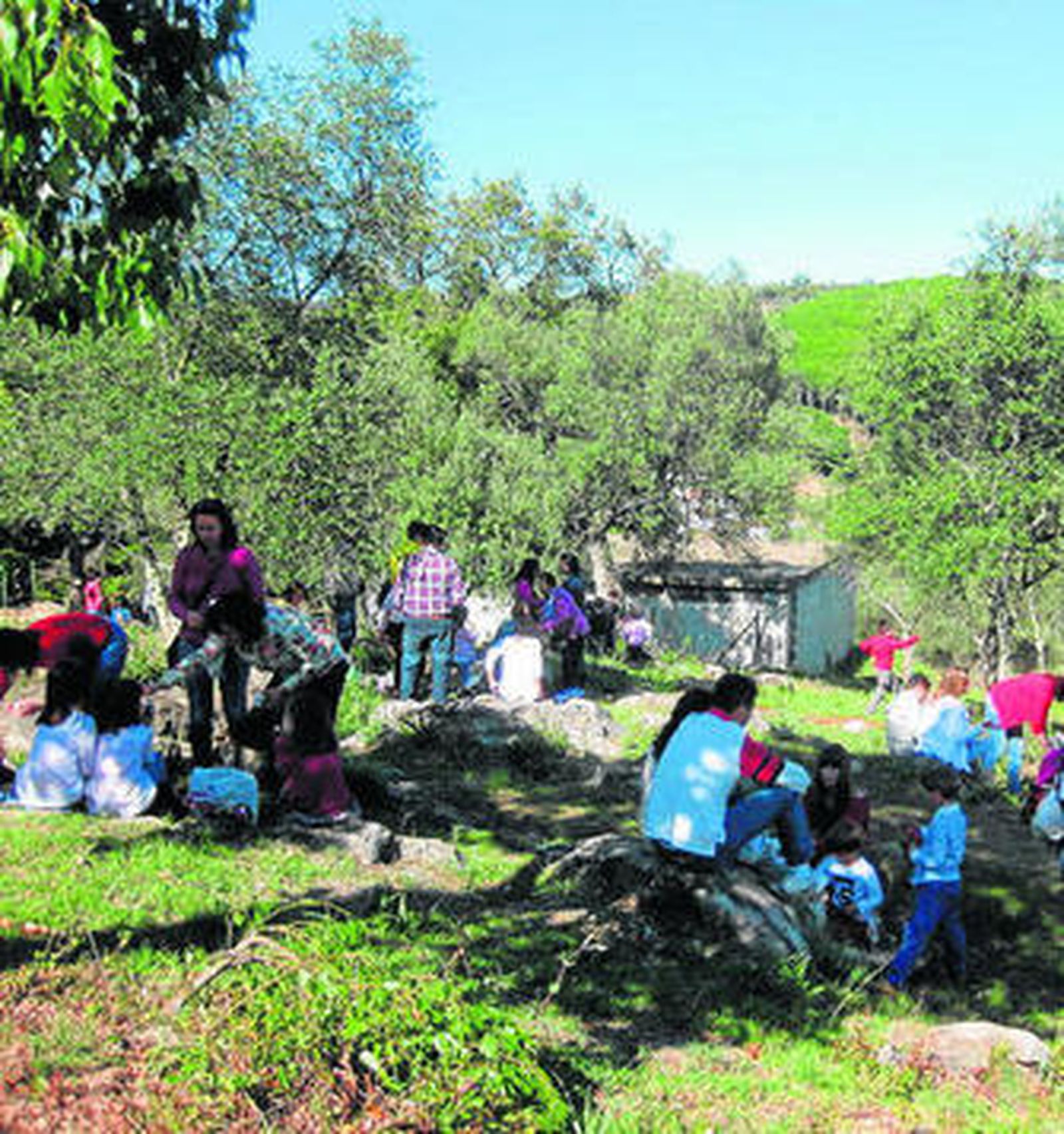 Imaginación y tradición de pan y huevo