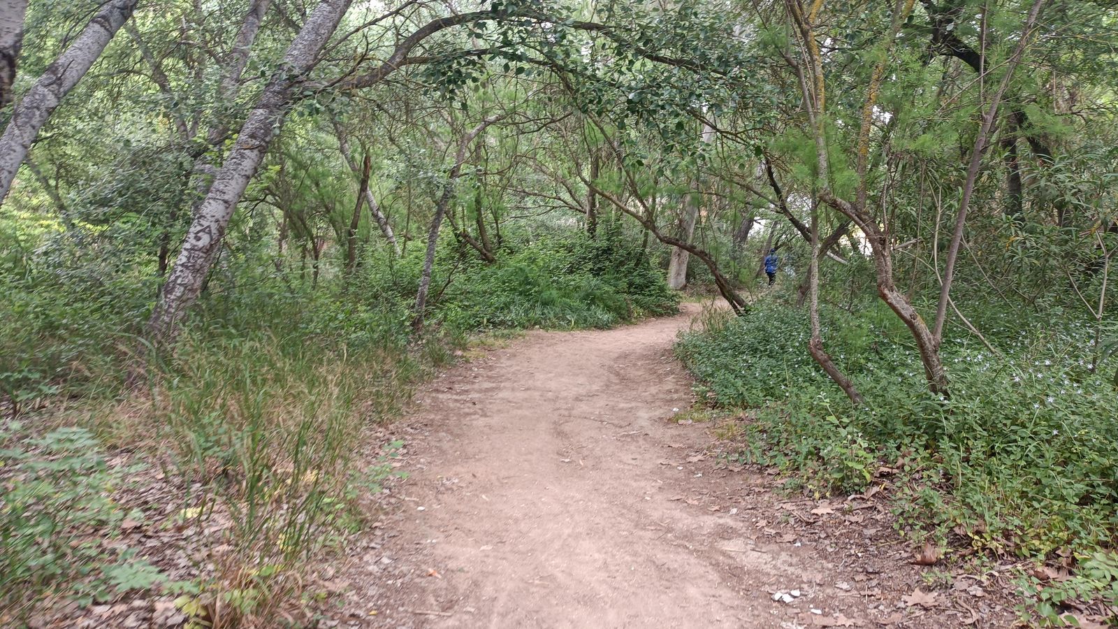 Ruta por el Guadaíra, en Alcalá