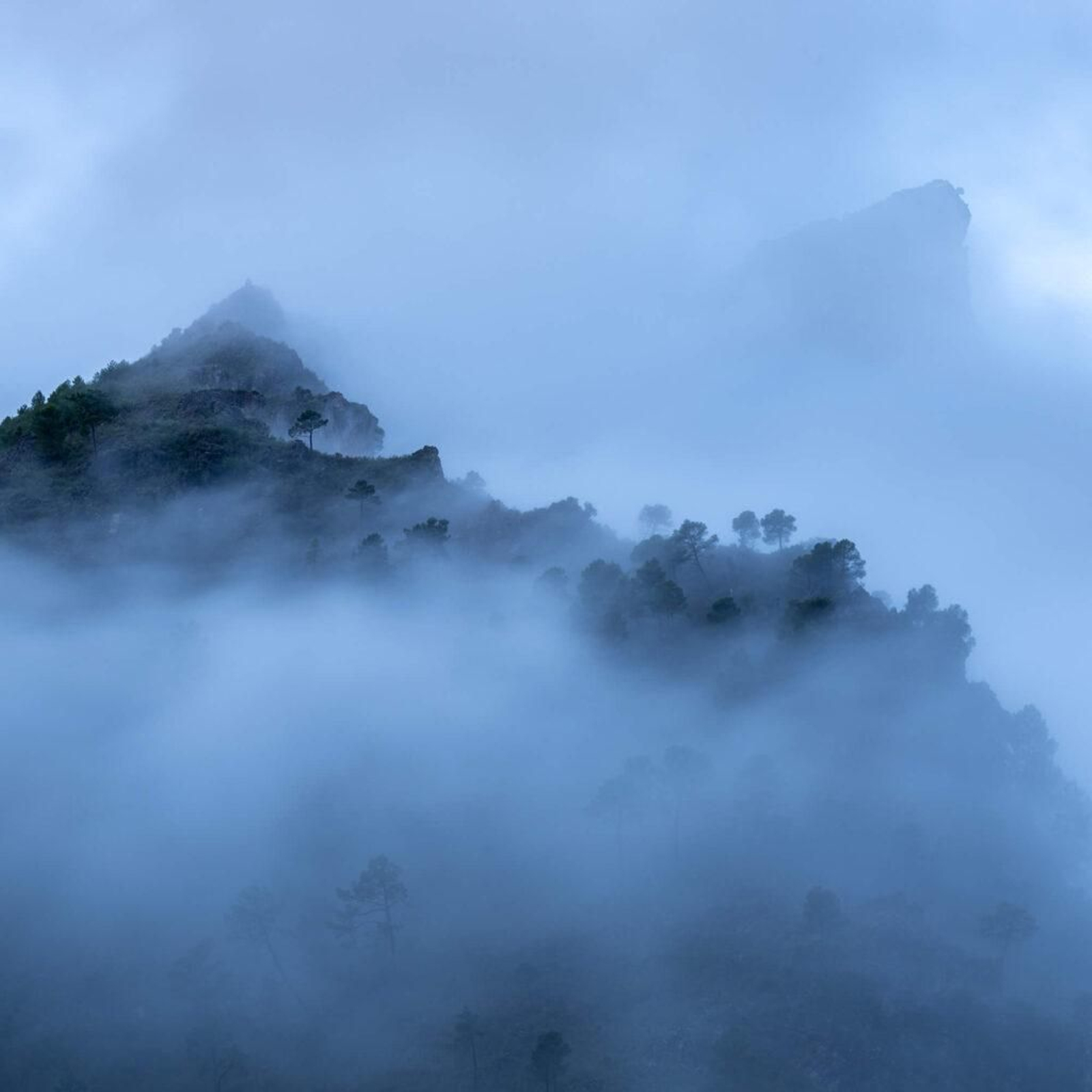 Parque Natural de la Sierra de Cazorla, Segura y Las Villas