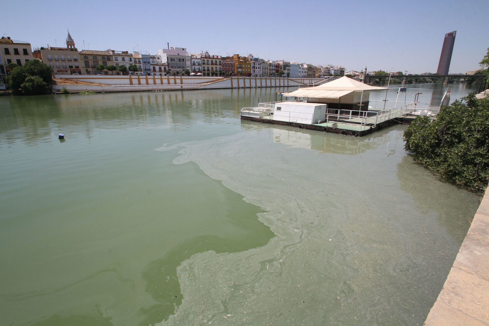 Mancha de aceite en el Guadalquivir