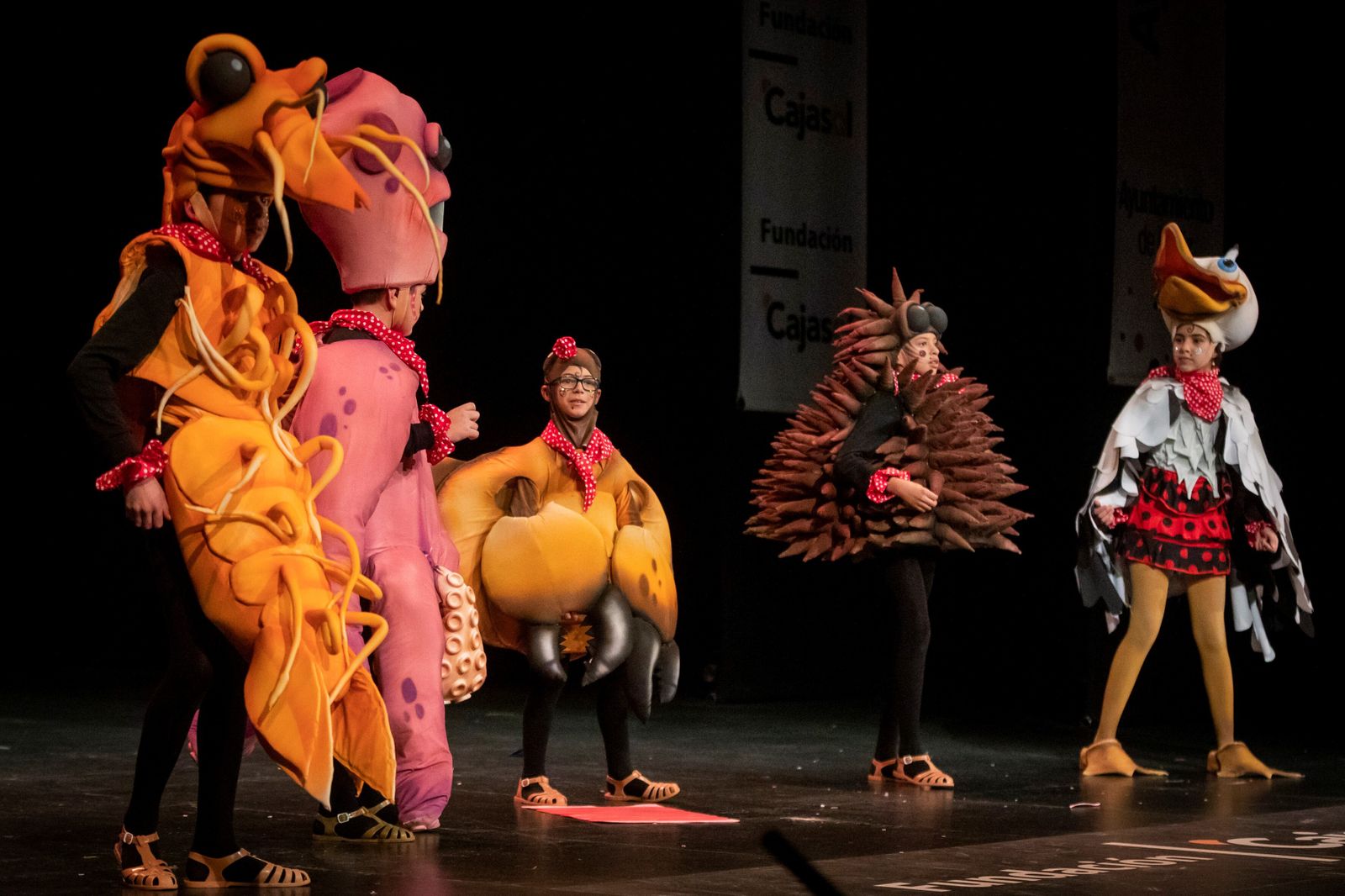 Todas las imágenes de la final infantil