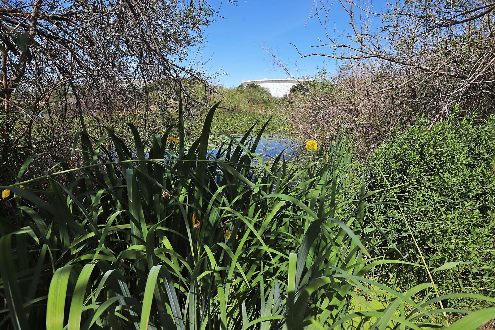 El presidente de la Junta de Andalucía Juanma Moreno visita la Laguna Primera de Palos (Huelva)