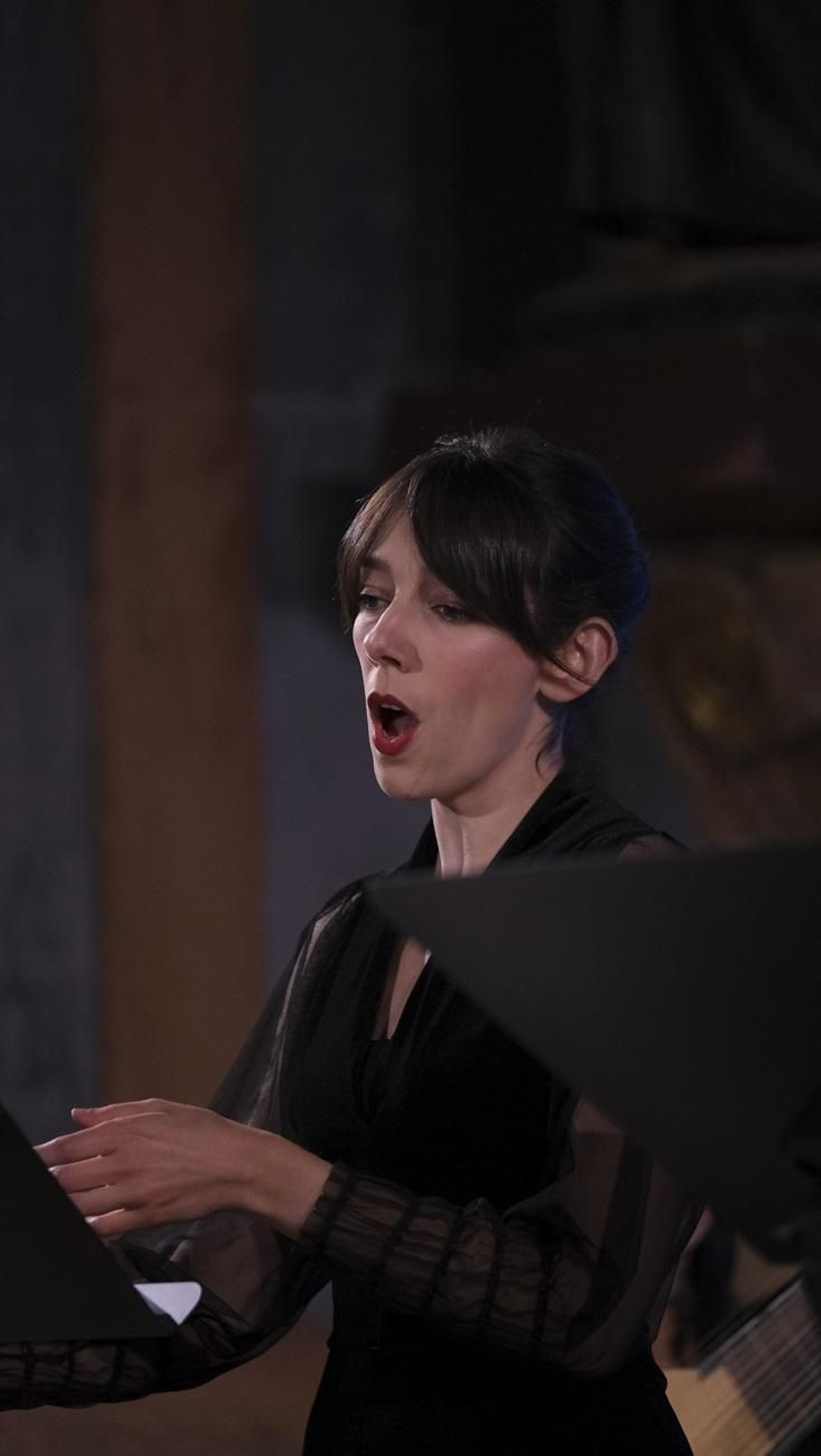 Fotogalería La Grande Chapelle. Festival de Música Renacentista y Barroca de Vélez Blanco.