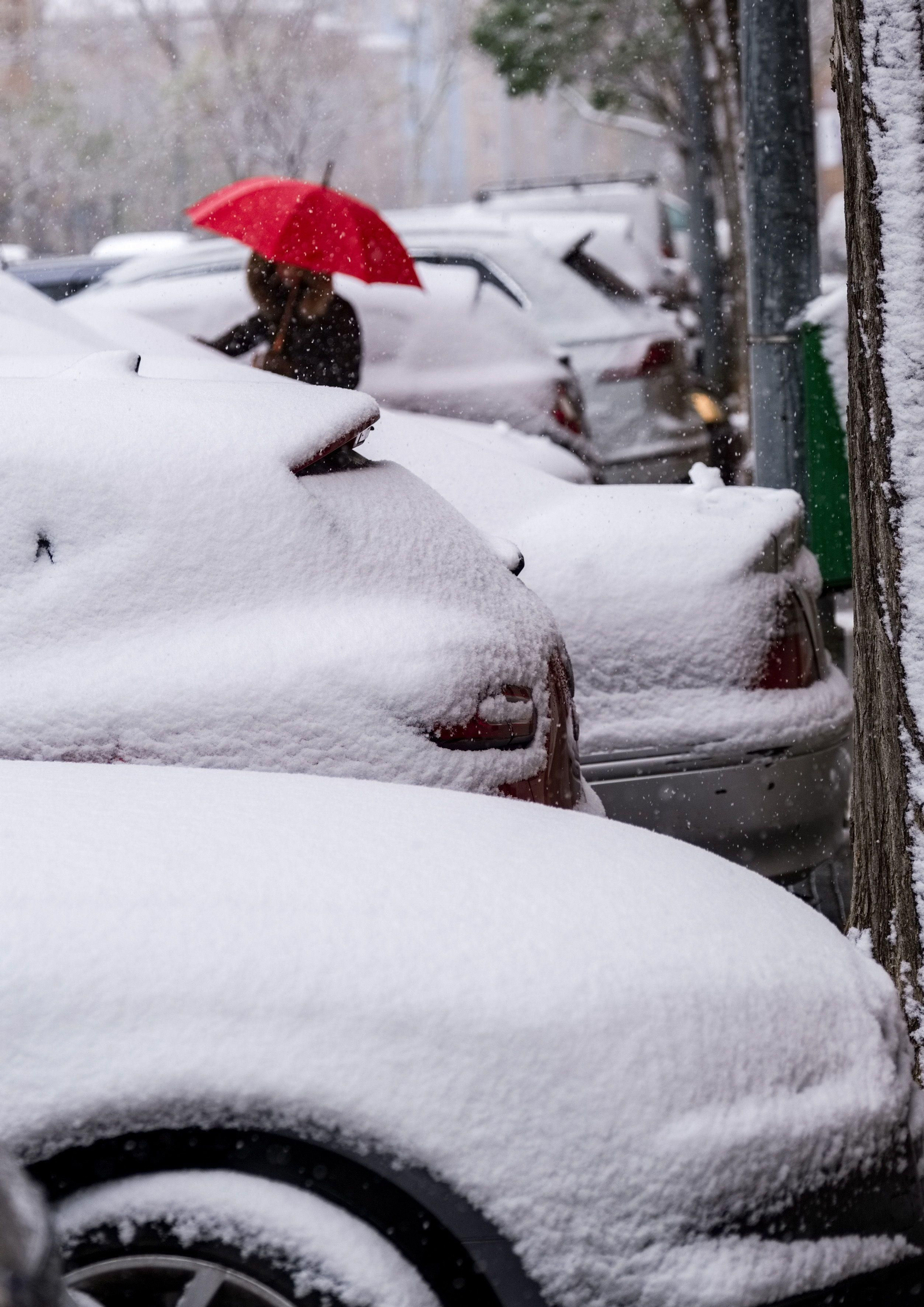 El segundo día del temporal 'Filomena' en imágenes: más nieve y caos