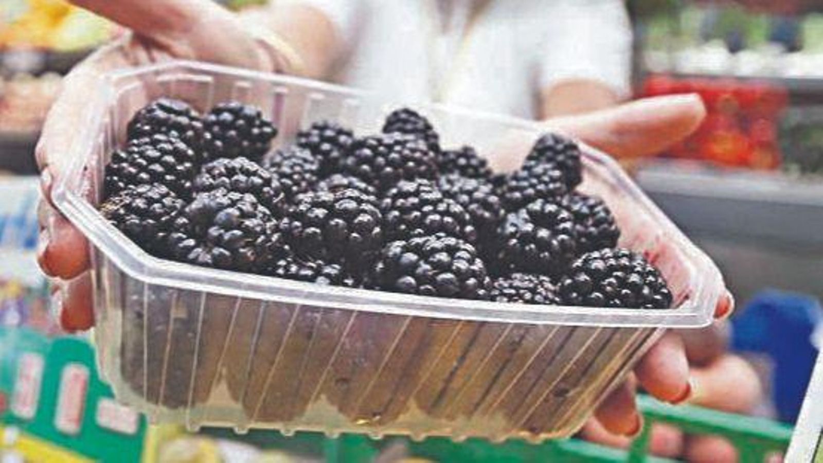 Expansión: Las ventas internacionales de frambuesas frescas han superado los 133,6 millones de euros