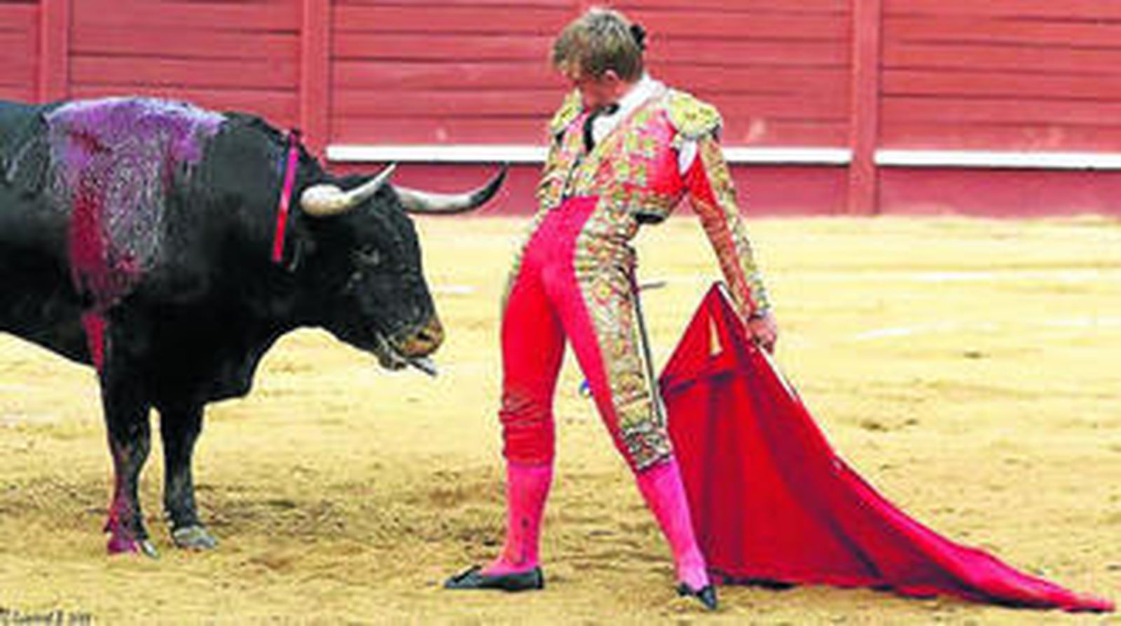 El novillero sevillano Javier Jiménez, que ha sumado 32 festejos, en un desplante.