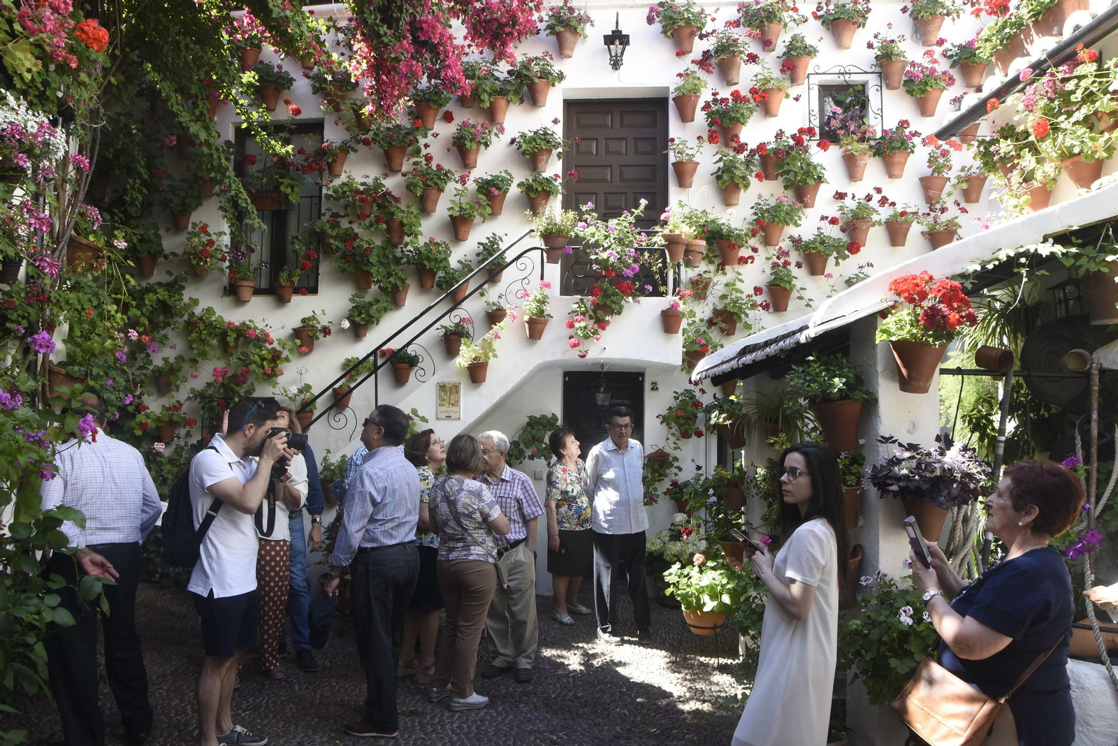 En imágenes: la ruta de los Patios del Alcázar Viejo