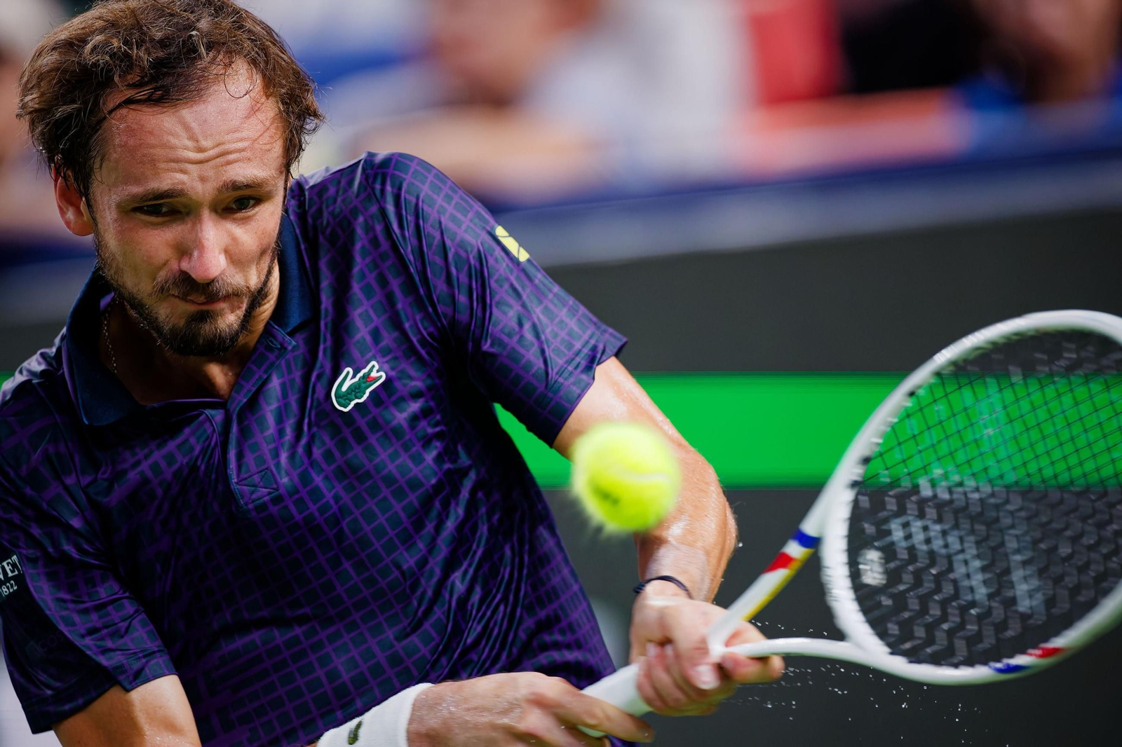 Alejandro Davidovich-Daniil Medvedev, en fotos