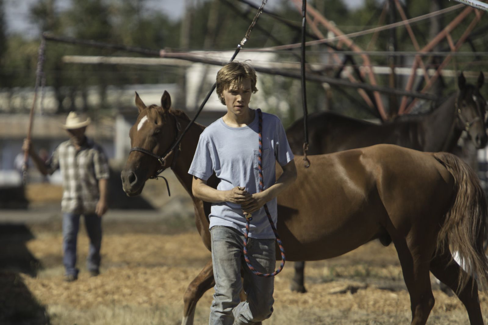 Charlie Plummer ofrece una interpretación excepcional en esta obra maestra de Andrew Haigh.