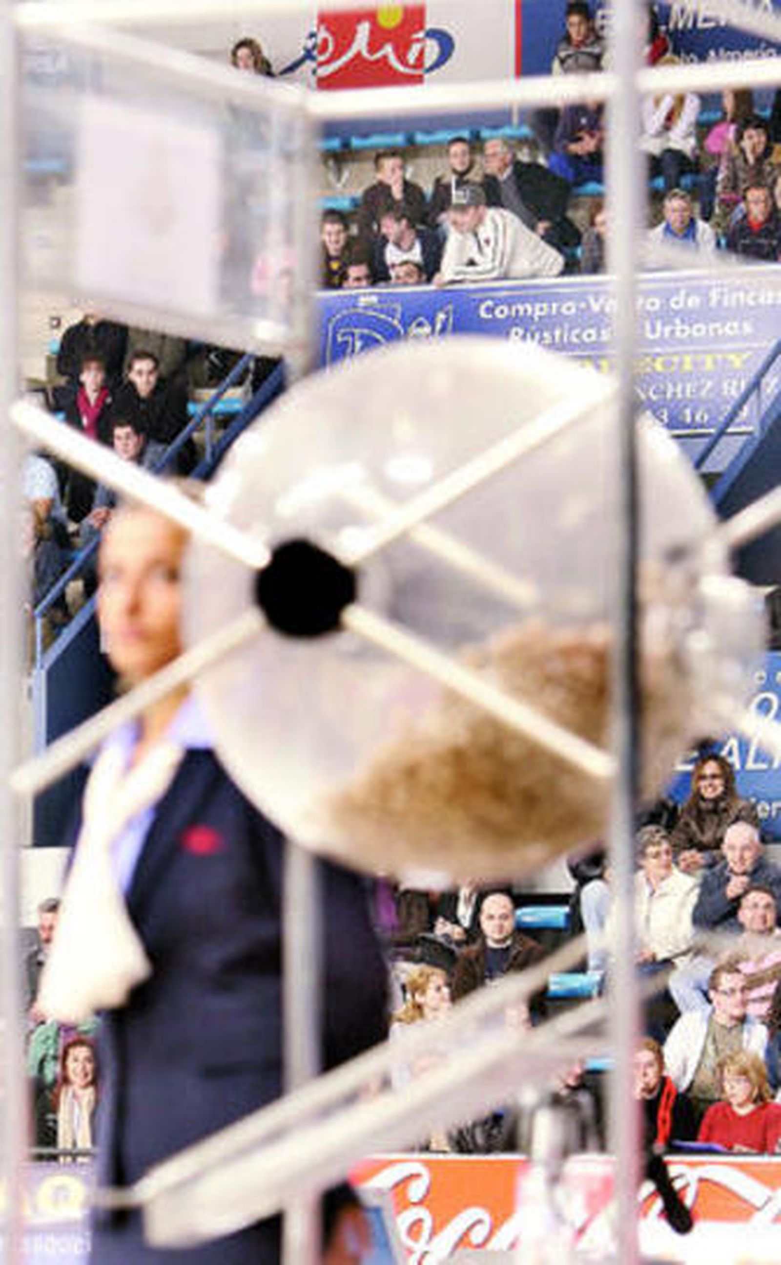 Se espera aumentar el número de solicitudes.