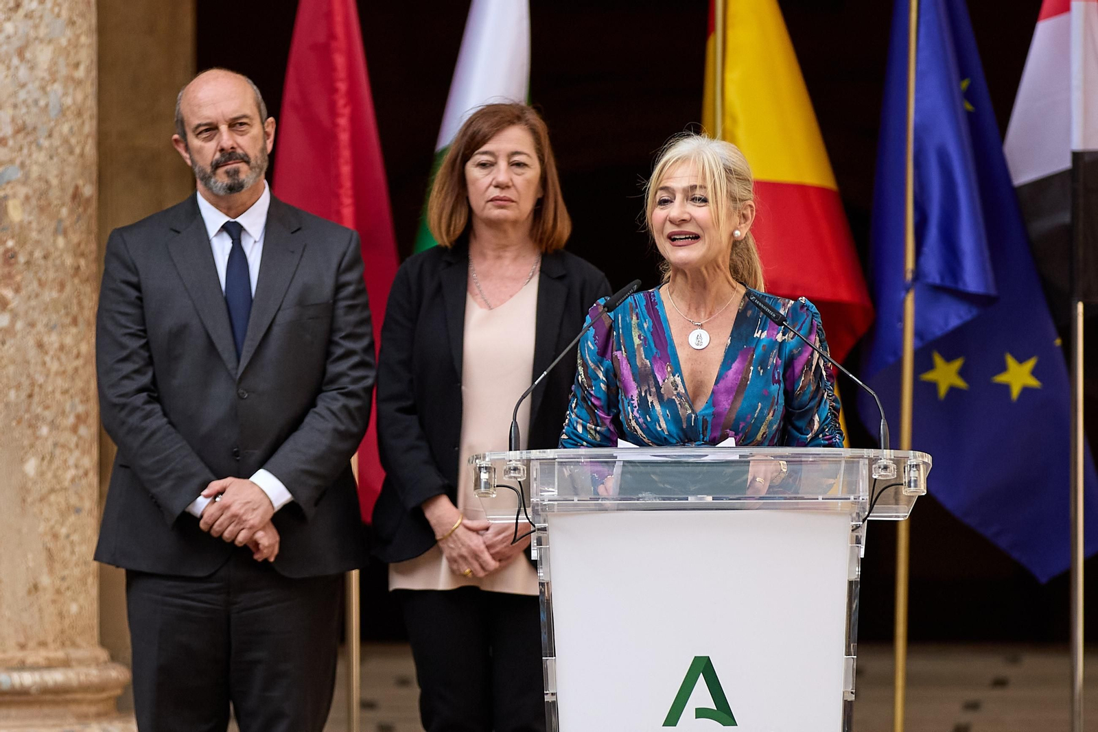 Todas las imágenes de la plantación del jardín de la paz en la Alhambra de Granada