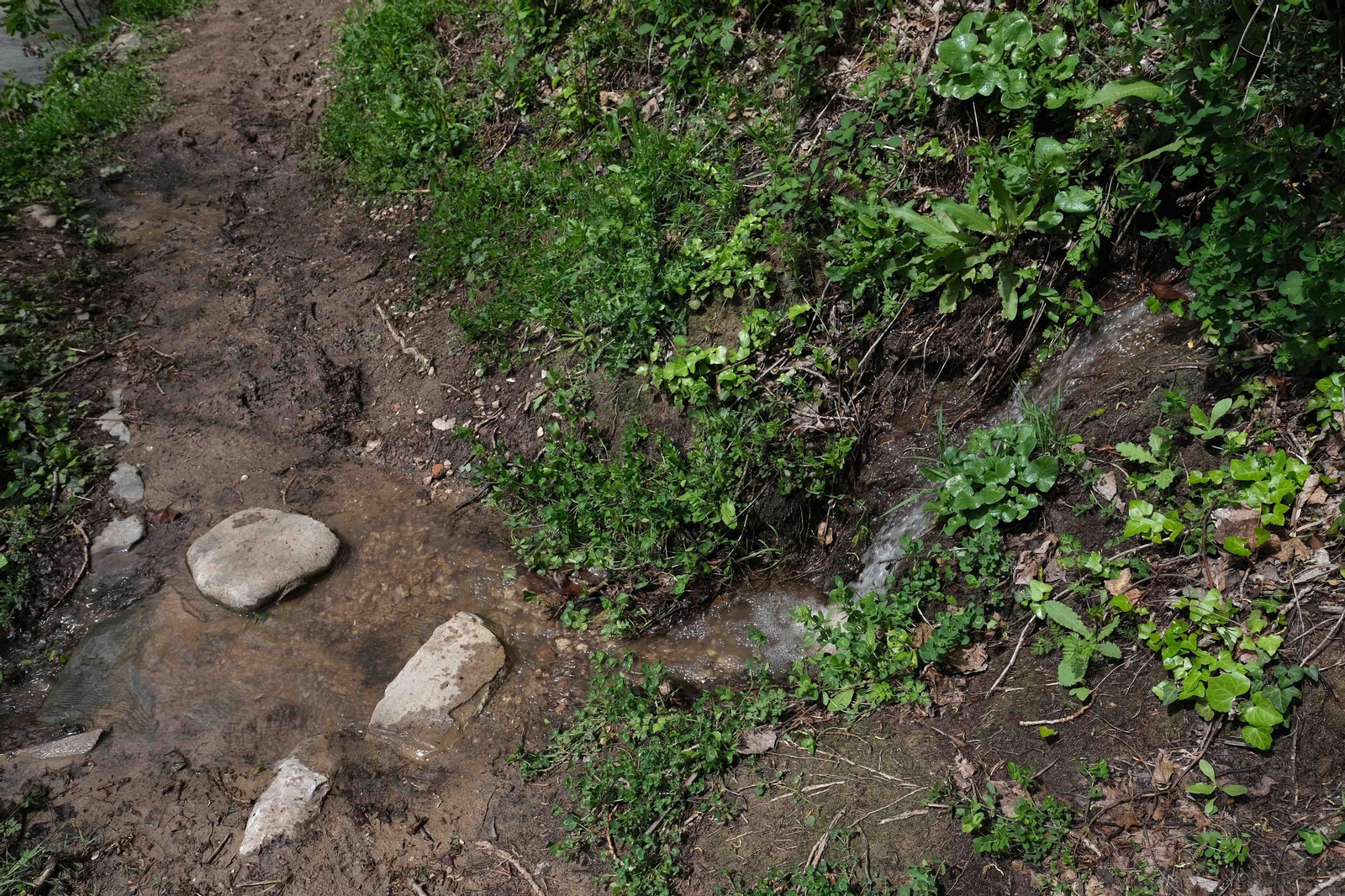 La ruta del agua en Ronda, en fotos