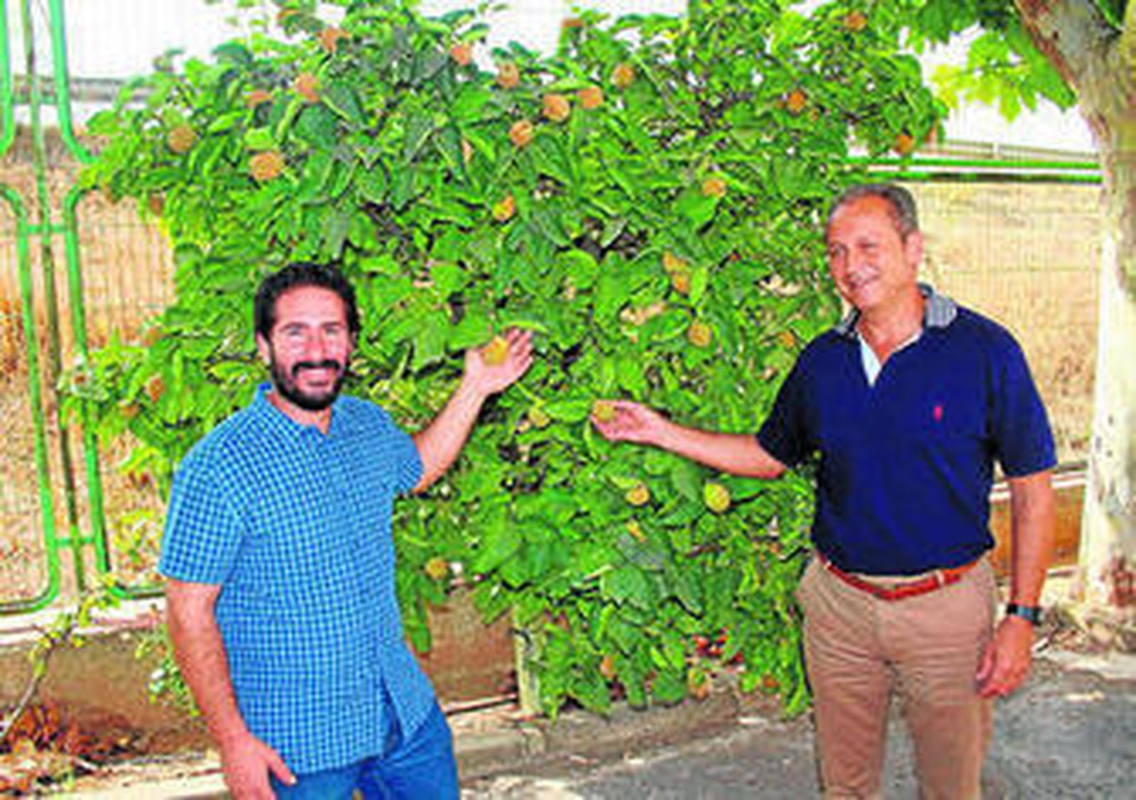 David Moscoso y Manuel González, de Membrillos San Lorenzo.