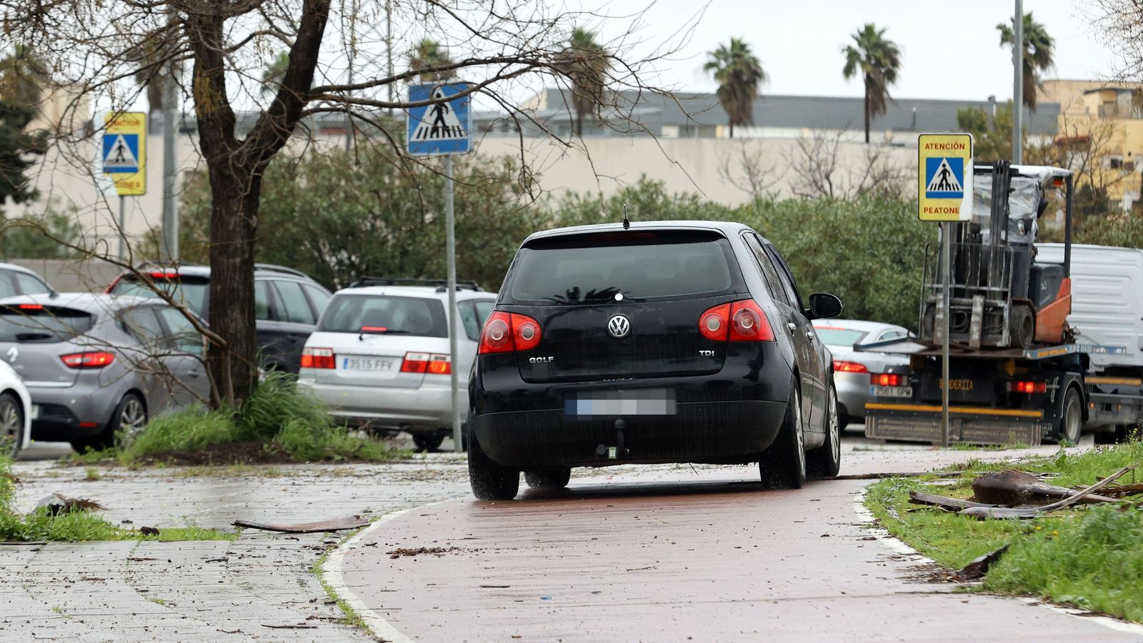 Ruta por la zona rural inundada de Jerez