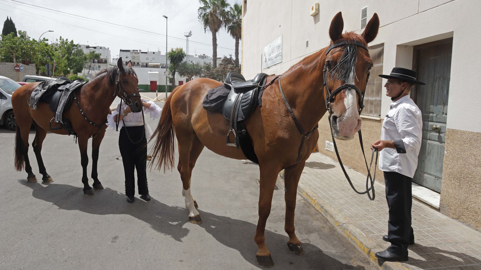 Fotos del sábado de Feria en San Roque
