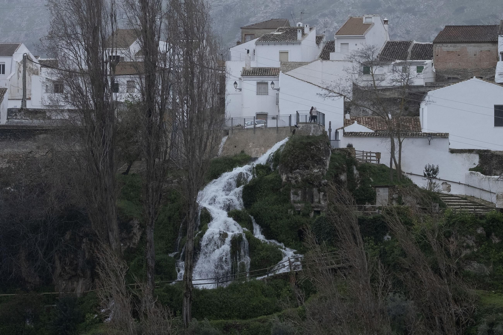 La lluvia transforma el paisaje de Málaga, en imágenes