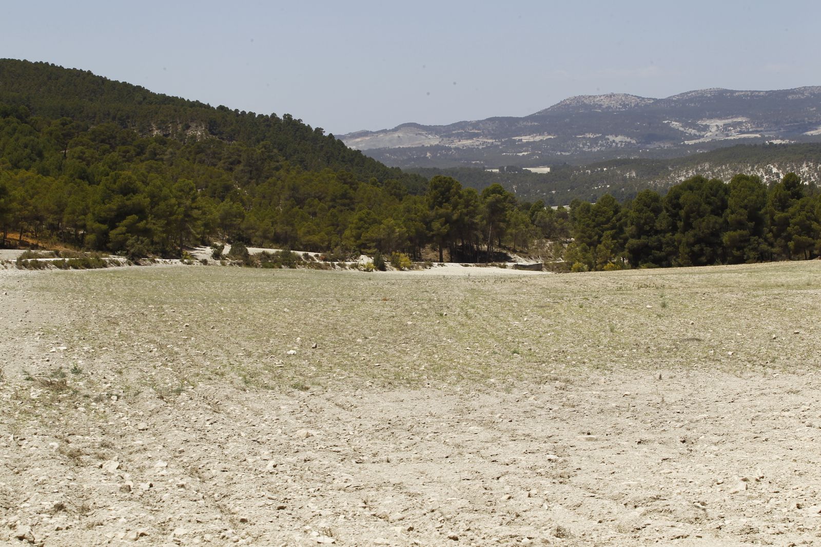 Imágenes de la sequía que golpea con dureza la producción de cereal en Los Vélez