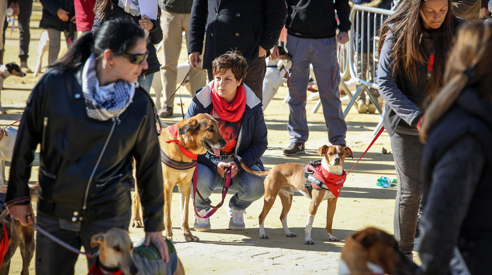 Búscate en San Antón de Jerez