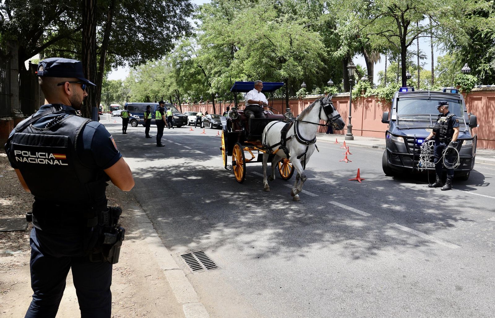 Policía Nacional hace inspecciones del subsuelo y con los perros para la ONU