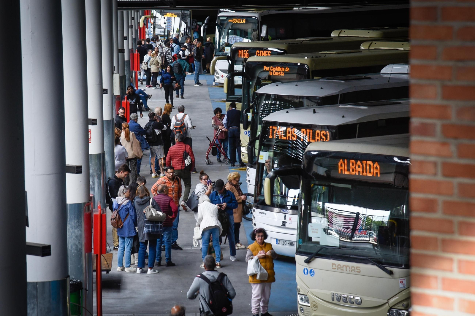 Las fotografías de la huelga nacional de transporte público en Sevilla