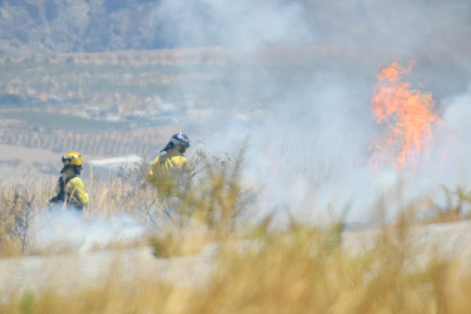 El incendio en el parque eólico de Padul, en fotos