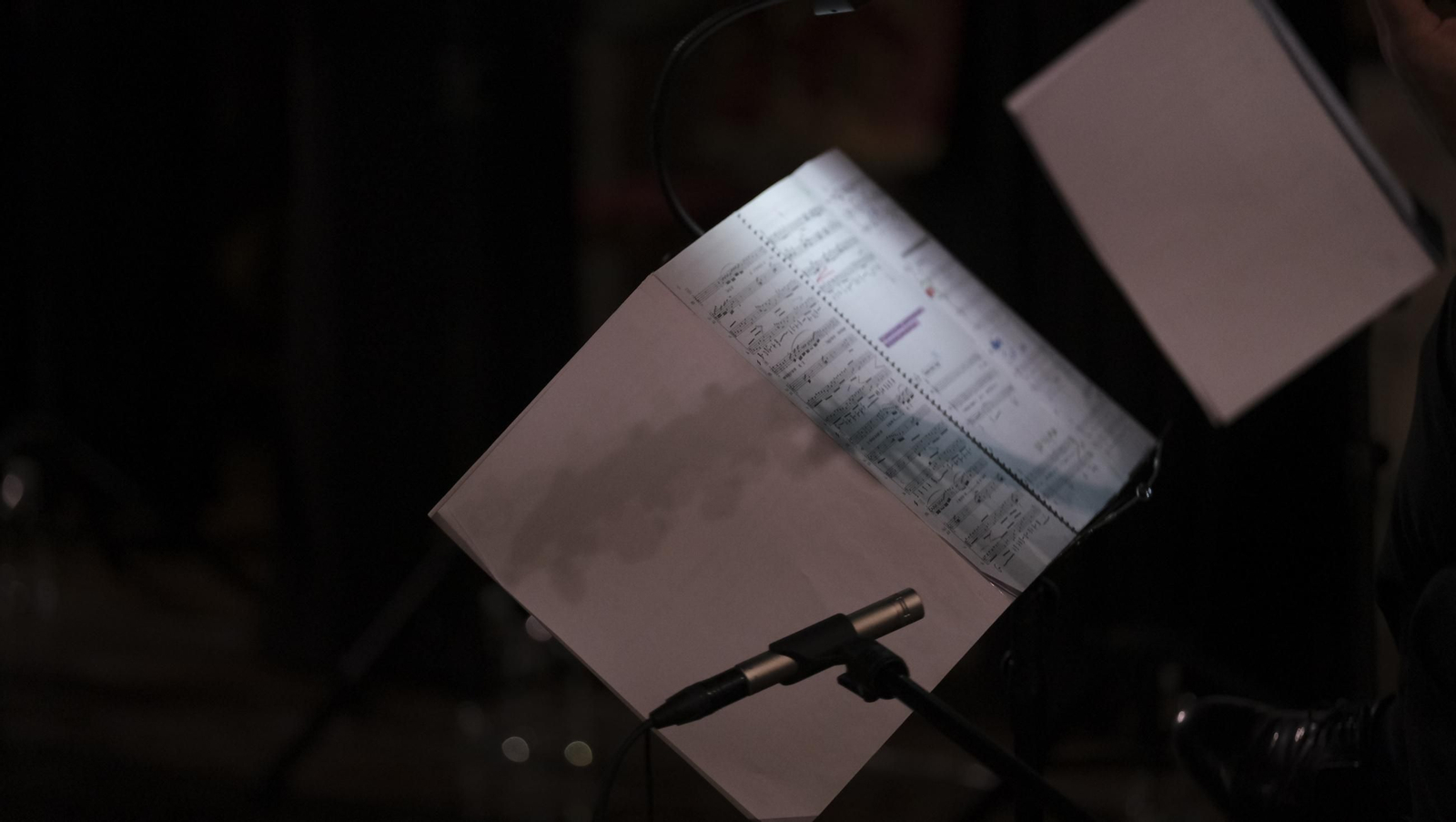 Concierto de Collegium Musicum Madrid, en el Festival de Vélez Blanco, en imágenes