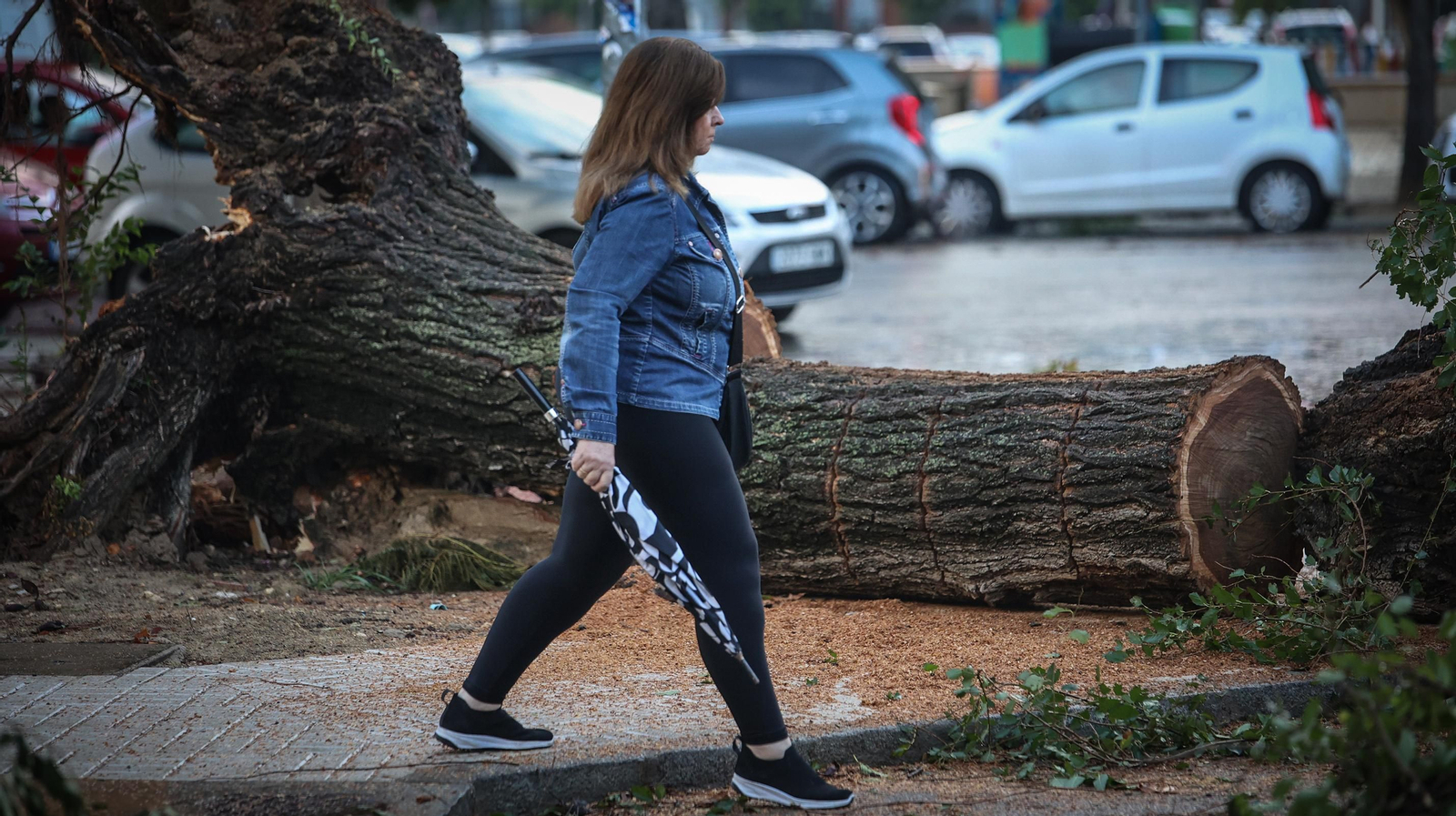 Así está Jerez tras el paso de 'Bernard'