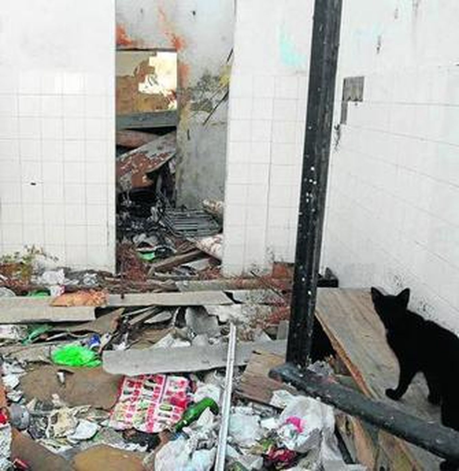 Imagen tomada ayer en una de las viviendas abandonadas de esta calle.