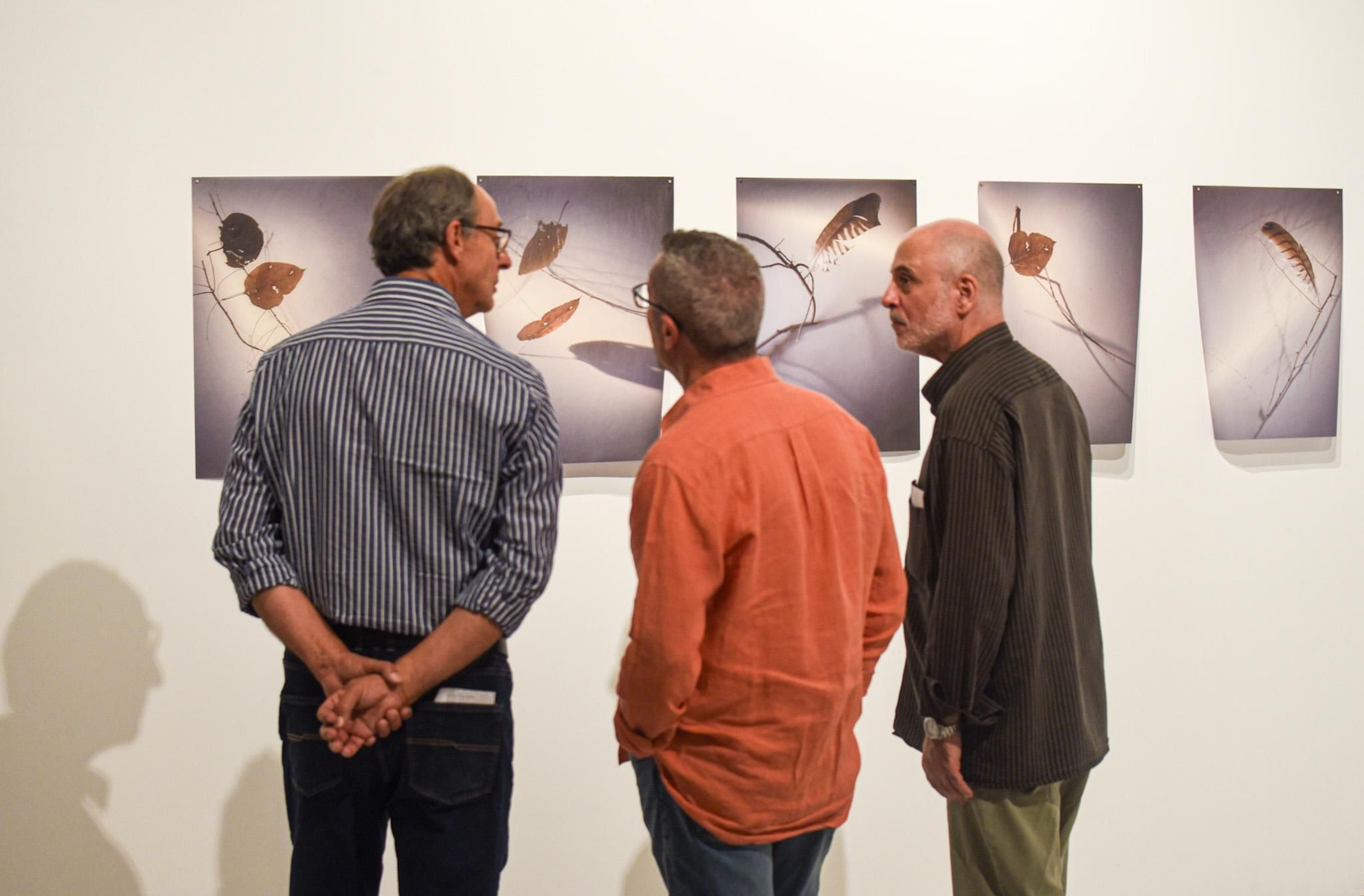 Luis González Palma inaugura en Córdoba una exposición sobre su trayectoria en la última década