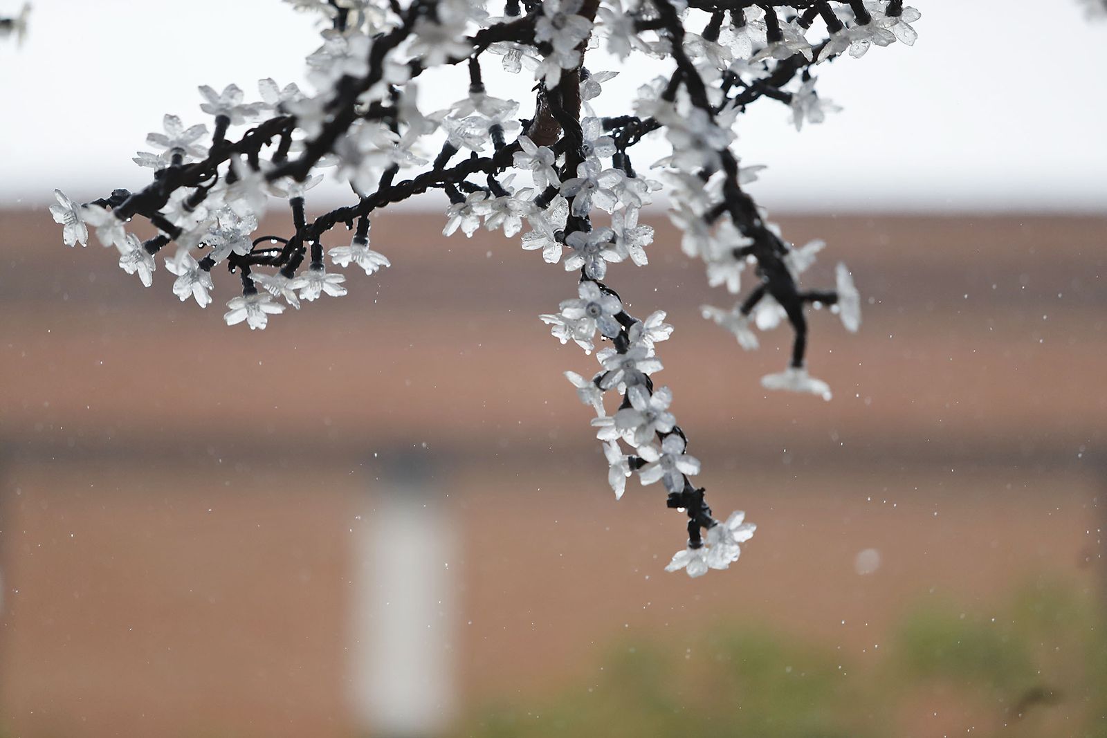 imágenes de la lluviosa mañana en Huelva