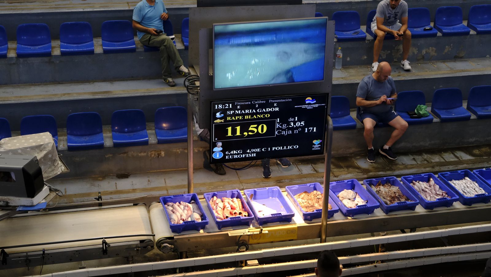 Imágenes de la visita guiada a la Lonja del Puerto Pesquero de Almería