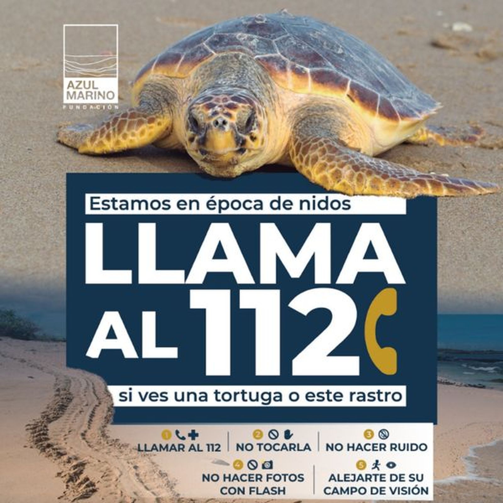 El litoral de Mojácar asiste de nuevo al anidamiento de una tortuga