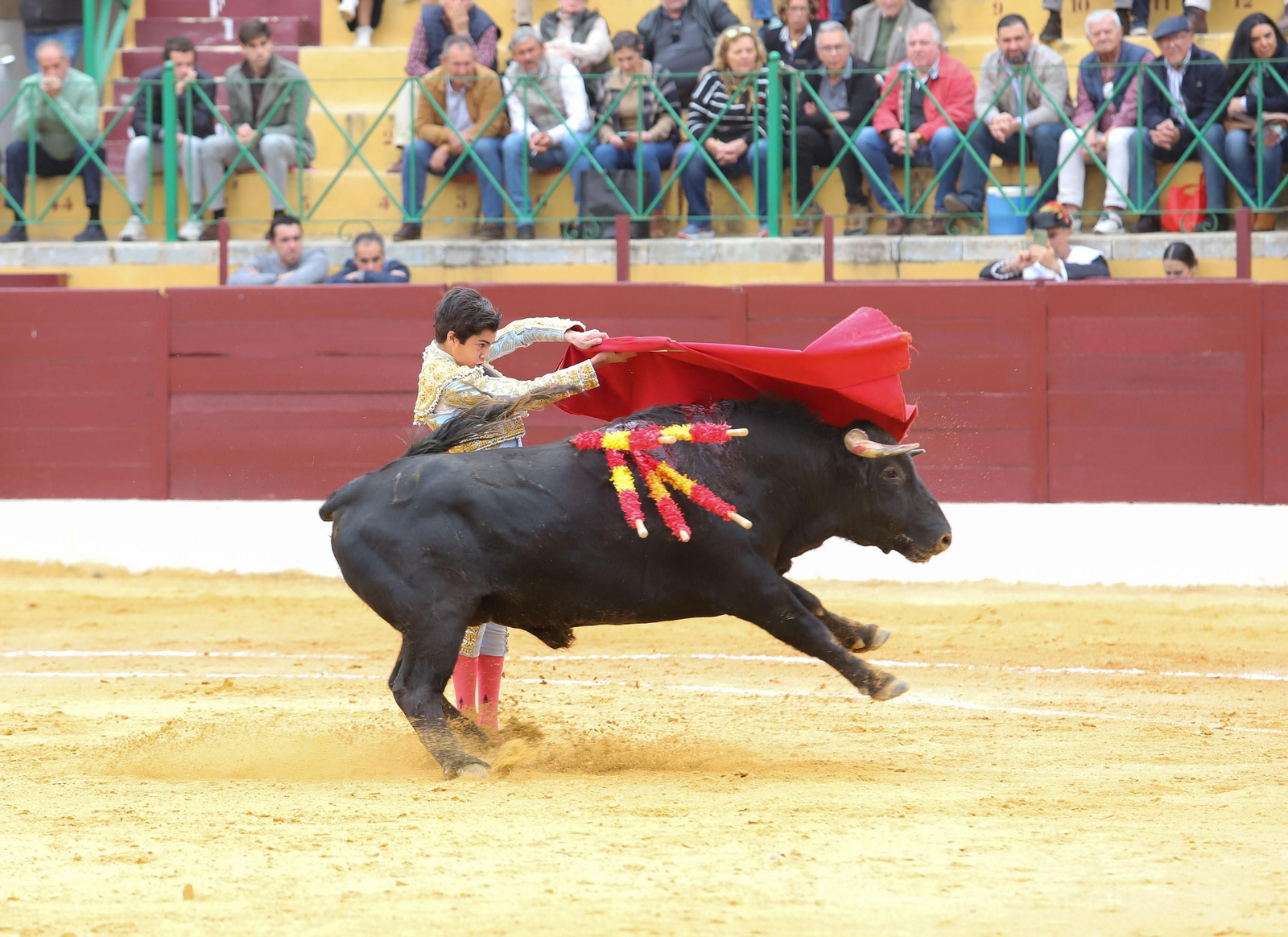 Imágenes de la novillada previa a la Semana Santa en la plaza de toros de La Línea