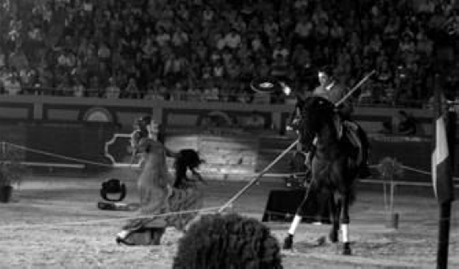 El baile flamenco se unió a la doma de caballos ayer en Algeciras.