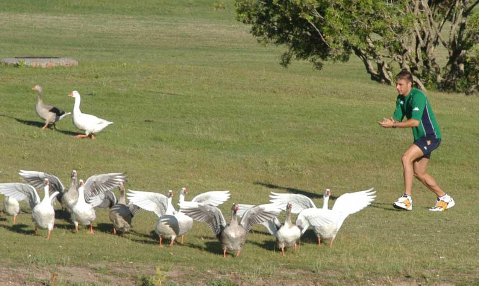 Las fotos de la trayectoria de Joaquín en el Betis