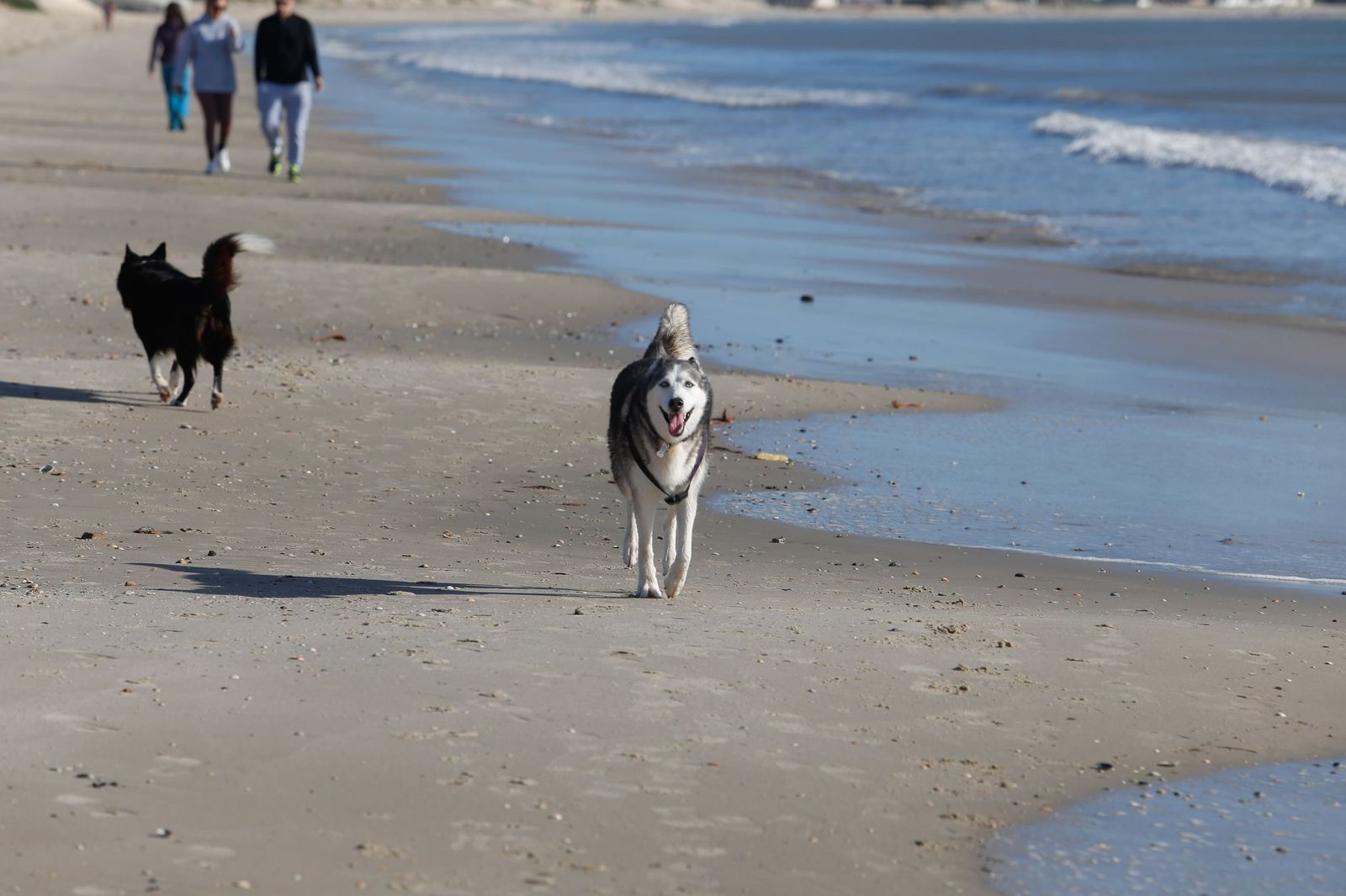 Las fotografías de los daños de las últimas borrascas en las playas de Getares y El Rinconcillo, en Algeciras